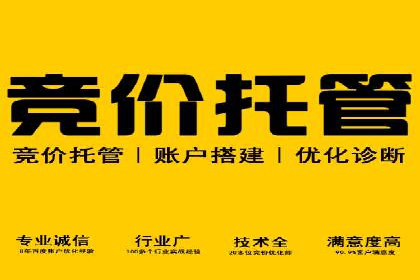 成功案例分享：Sem优化公司助力品牌增长